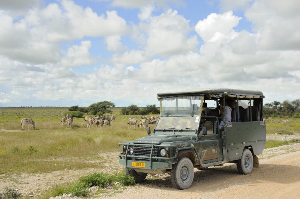 etosha village game drives