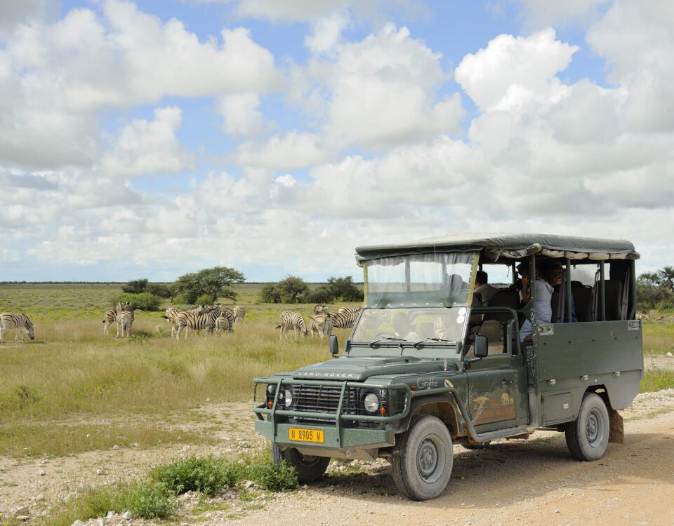 etosha village game drives