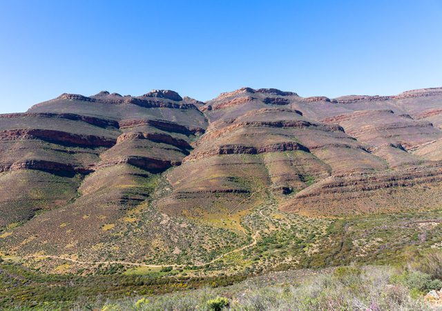cape west coast and garden route