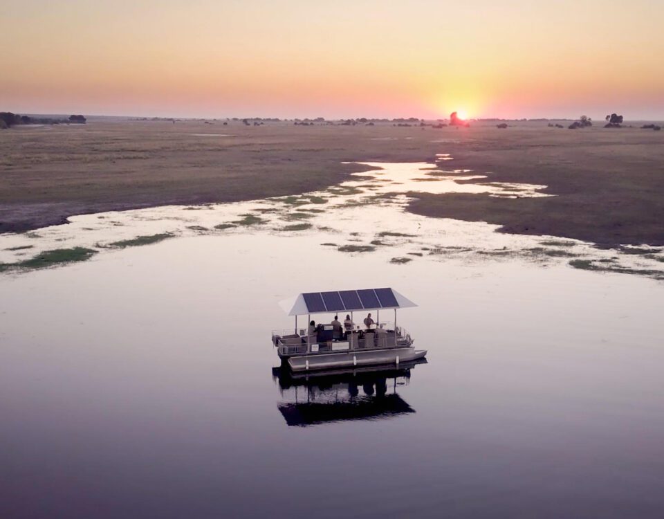 chobe national park