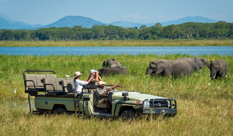 liwonde national park