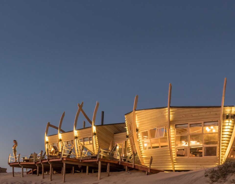 the skeleton coast