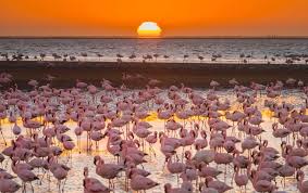swakopmund