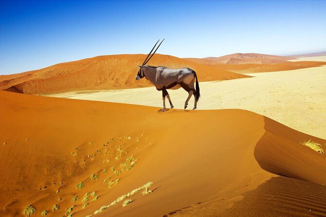 namib-naukluft park