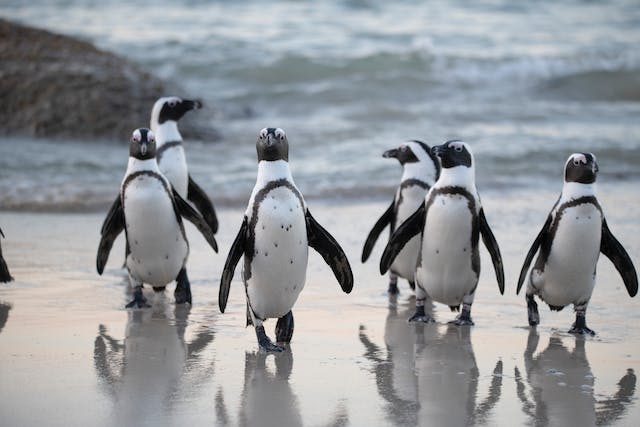 discover family adventures