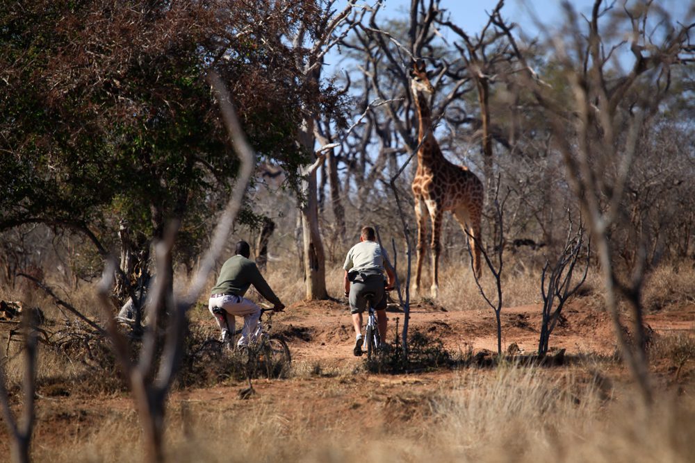 Eswatini & Lesotho Hlane Royal National Park