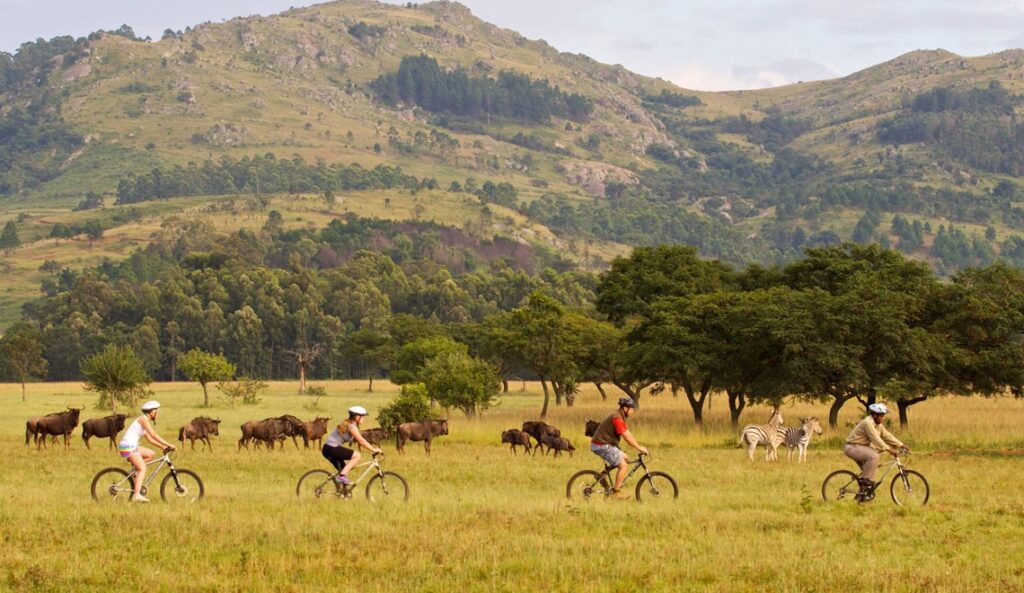 Eswatini & Lesotho Mlilwane Wildlife Sancuary