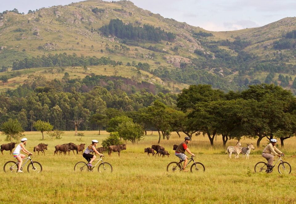 Eswatini & Lesotho Mlilwane Wildlife Sancuary